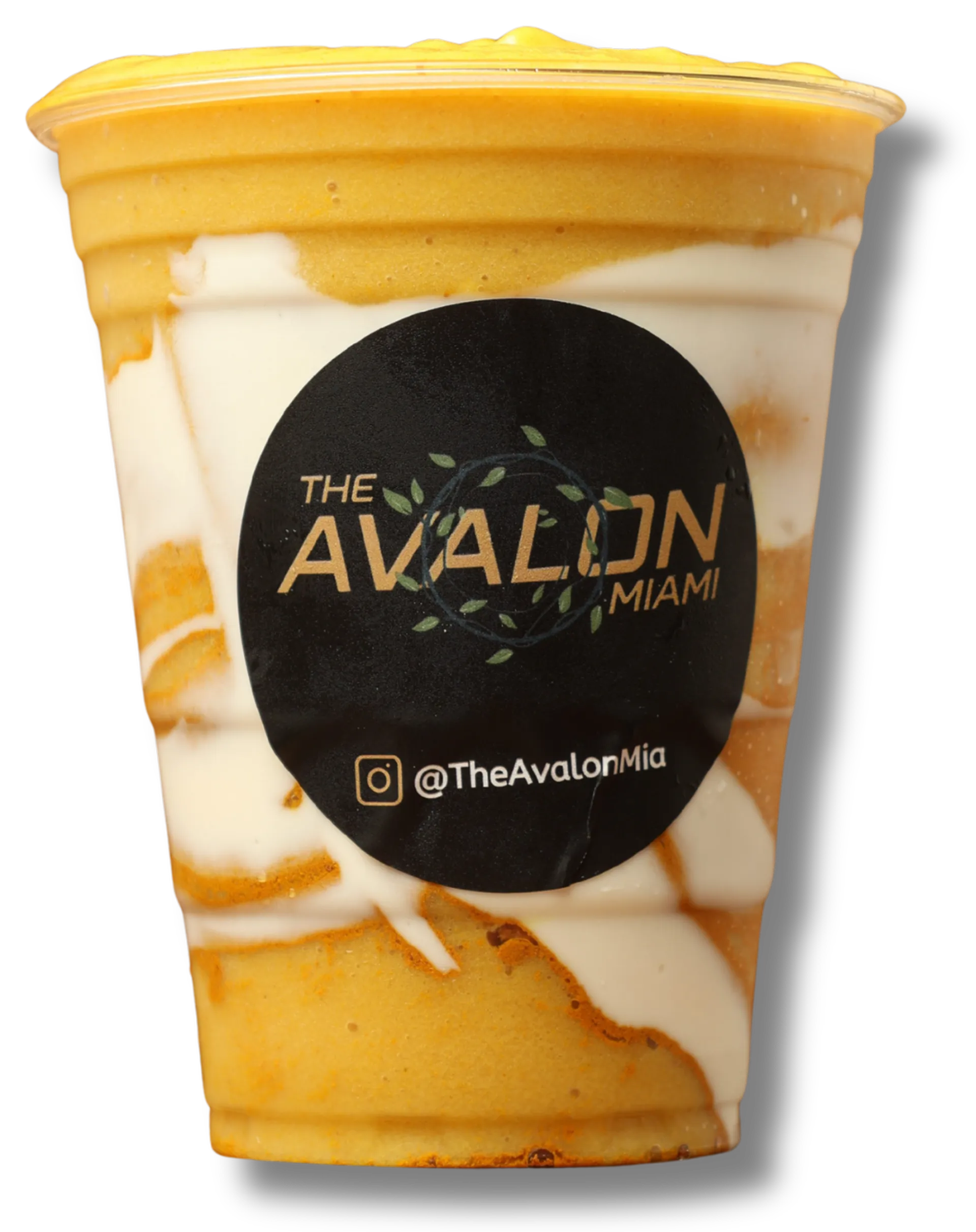 The Avalon Miami