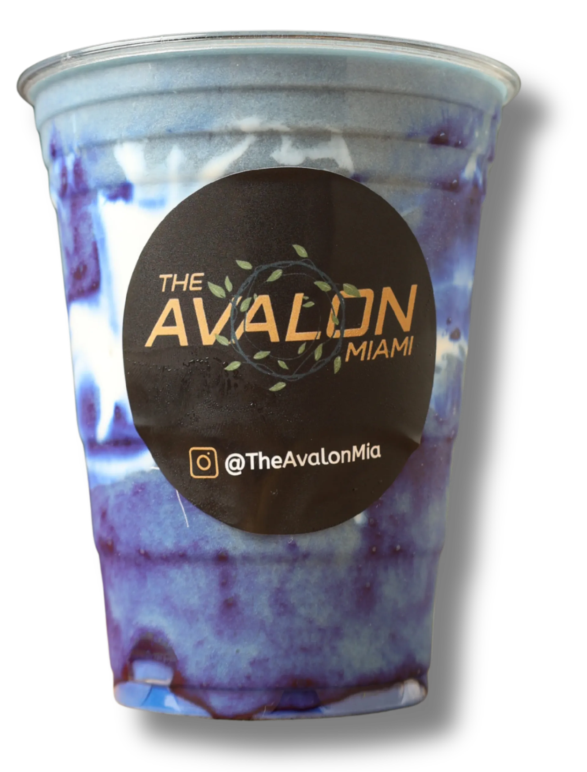 The Avalon Miami
